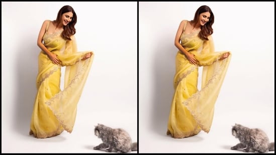 Basant Panchami 2024: 7 Gorgeous Bollywood-Inspired Yellow Sarees for the Occasion, Featuring Alia Bhatt to Madhuri Dixit