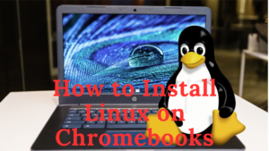 How to Install Linux on Chromebooks:
